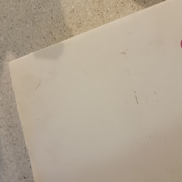 Diana The Portrait Book - Picture 7 of 10